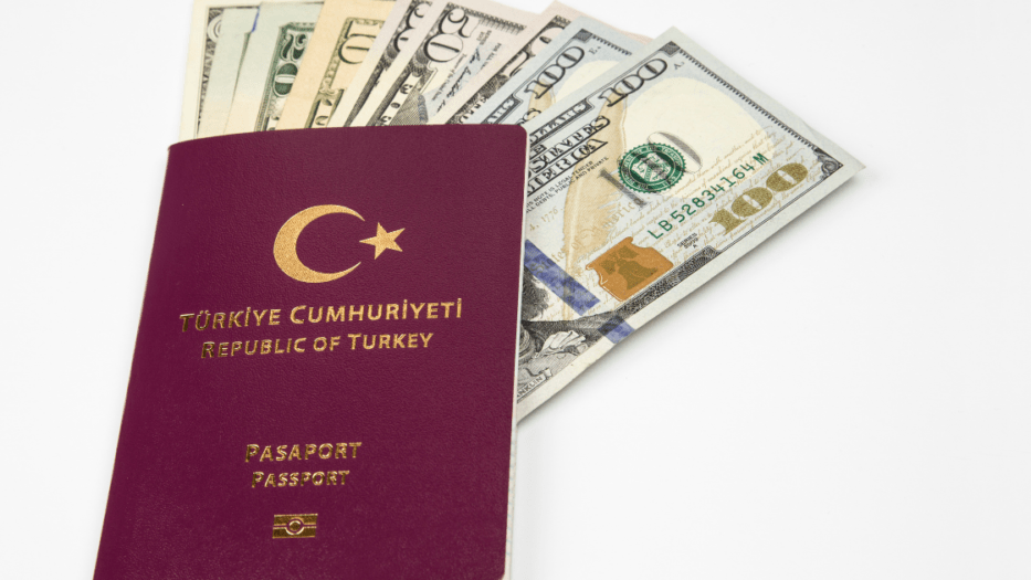 Turkish Citizenship By Investment - Who Is Eligible? - Turkey Travel 